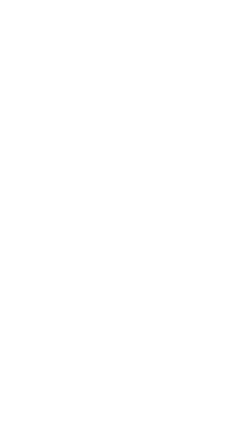 ICONO 1